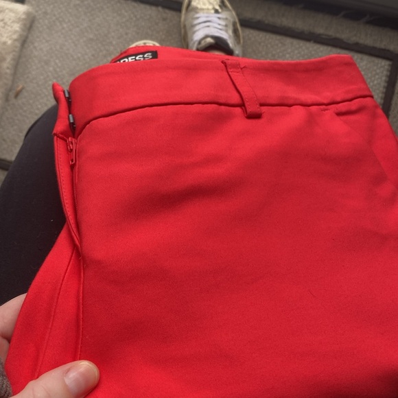 Express Columnist Red Trouser - Picture 5 of 6